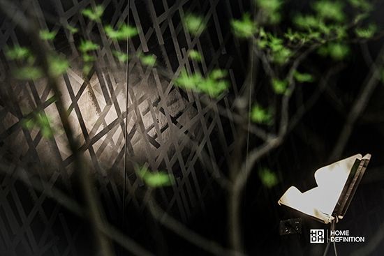 HD林麗妮 | 以設(shè)計(jì)為驅(qū)動(dòng) 聚焦品牌差異化優(yōu)勢(shì)打造