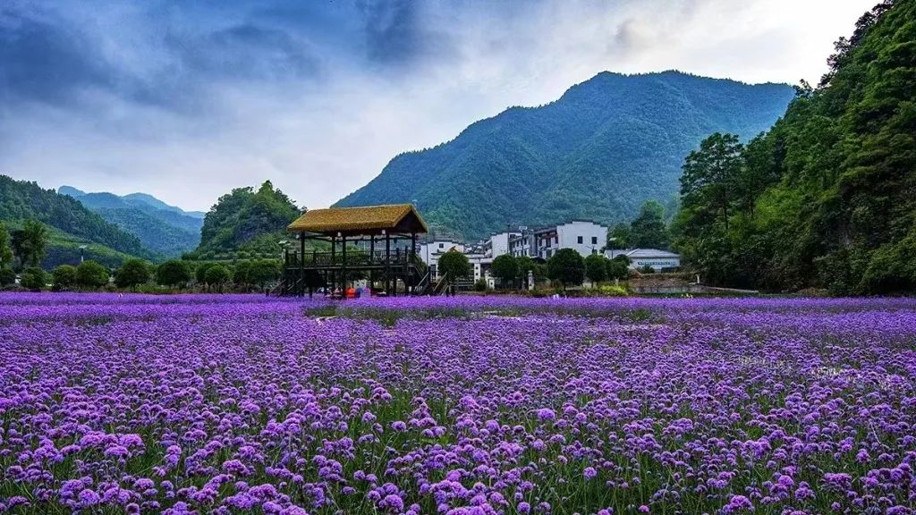 廈門(mén)婚禮場(chǎng)地布置_廈門(mén)場(chǎng)地婚禮布置多少錢_廈門(mén)婚慶布置