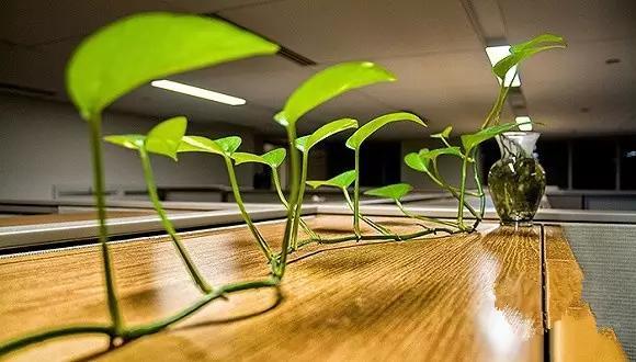 廈門辦公裝修設計公司_廈門辦公室裝修公司_廈門辦公室裝修設計