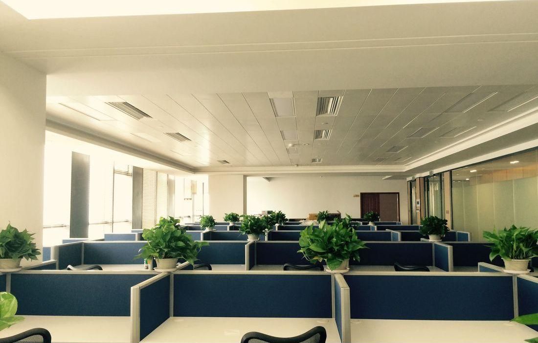 廈門裝修設(shè)計(jì)公司排名_廈門裝修設(shè)計(jì)公司排名_廈門網(wǎng)絡(luò)優(yōu)化公司排名