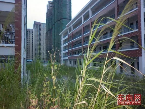 廈門(mén)精裝修二手房出售_廈門(mén)精裝修房最新房?jī)r(jià)_廈門(mén)精裝房裝修