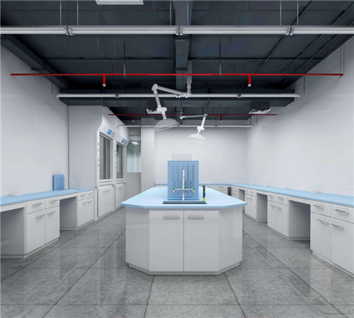 廈門實(shí)驗(yàn)室裝修設(shè)計(jì)_廈門室內(nèi)裝修設(shè)計(jì)_廈門裝修室實(shí)驗(yàn)設(shè)計(jì)師招聘