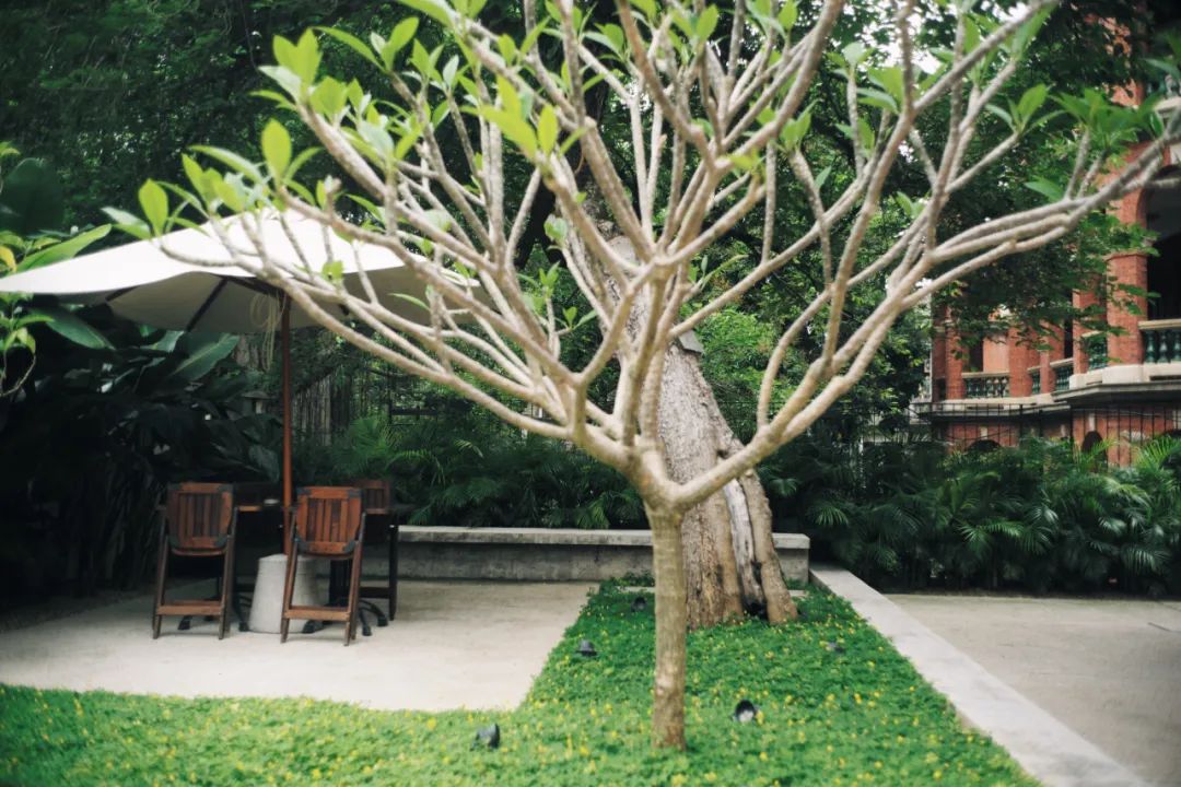 廈門十大裝修_福州龍頭裝修_廈門龍頭裝修