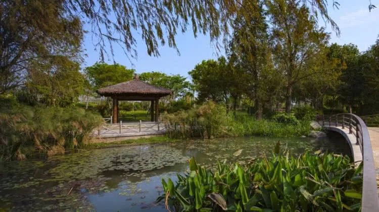 廈門周末裝修時(shí)間國家規(guī)定_廈門周末裝修_廈門周末裝修投訴電話