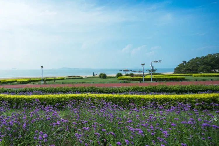 廈門周末裝修時(shí)間國家規(guī)定_廈門周末裝修投訴電話_廈門周末裝修