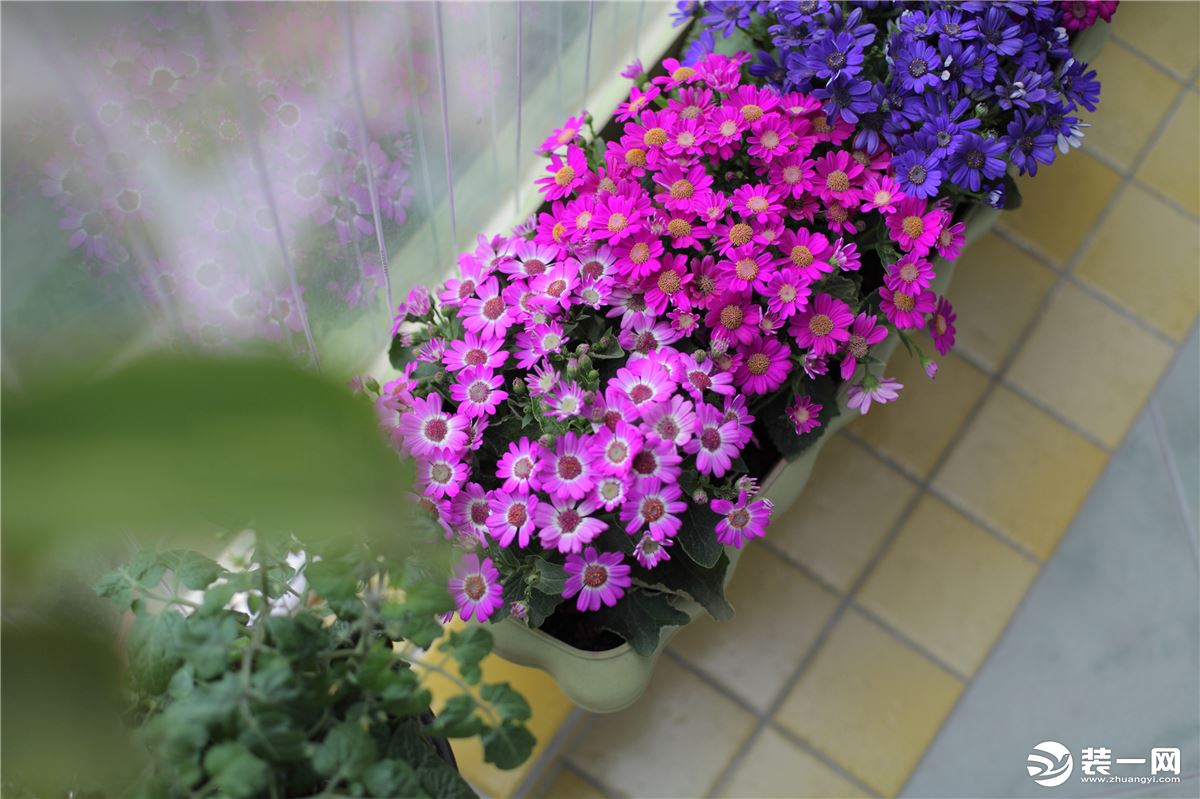 廈門陽臺(tái)裝修改造_陽臺(tái)改造大概費(fèi)用_想改造一下陽臺(tái)得找誰