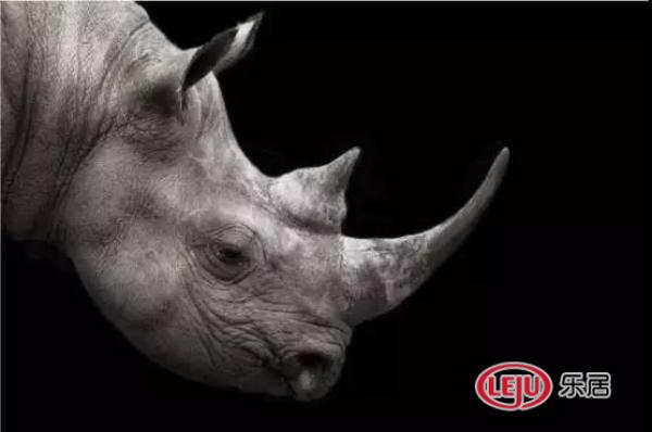 廈門裝修垃圾清運(yùn)_廈門裝修垃圾傾倒點(diǎn)_廈門裝修建筑垃圾怎么處理