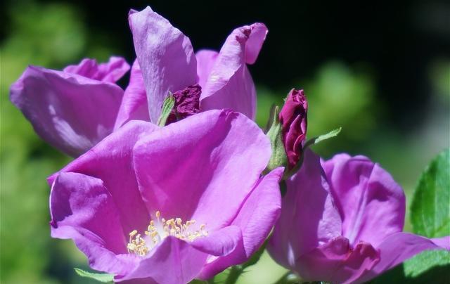 廈門裝修價格怎么算_廈門裝修價格一覽_廈門裝修+價格