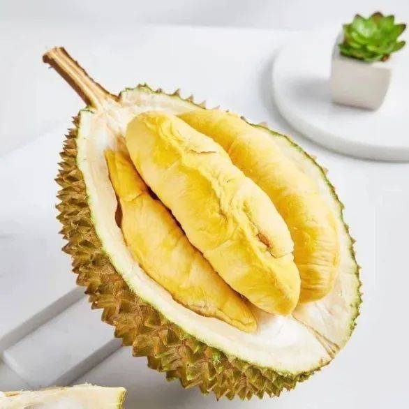 廈門裝修貸款申請需要條件_廈門銀行裝修貸_廈門貸裝修銀行能貸款嗎