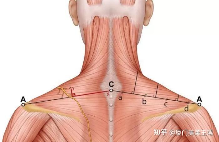 廈門裝修貸利率_廈門裝修貸_廈門裝修貸哪個(gè)銀行利率低
