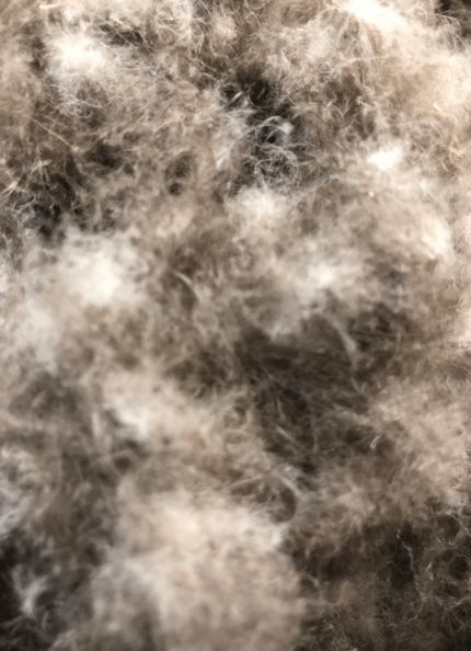 寒冬將至，冰島雁鴨絨供不應(yīng)求年產(chǎn)量僅3000公斤，King Eider冰島雁鴨絨珍奢床品帶來溫暖好眠